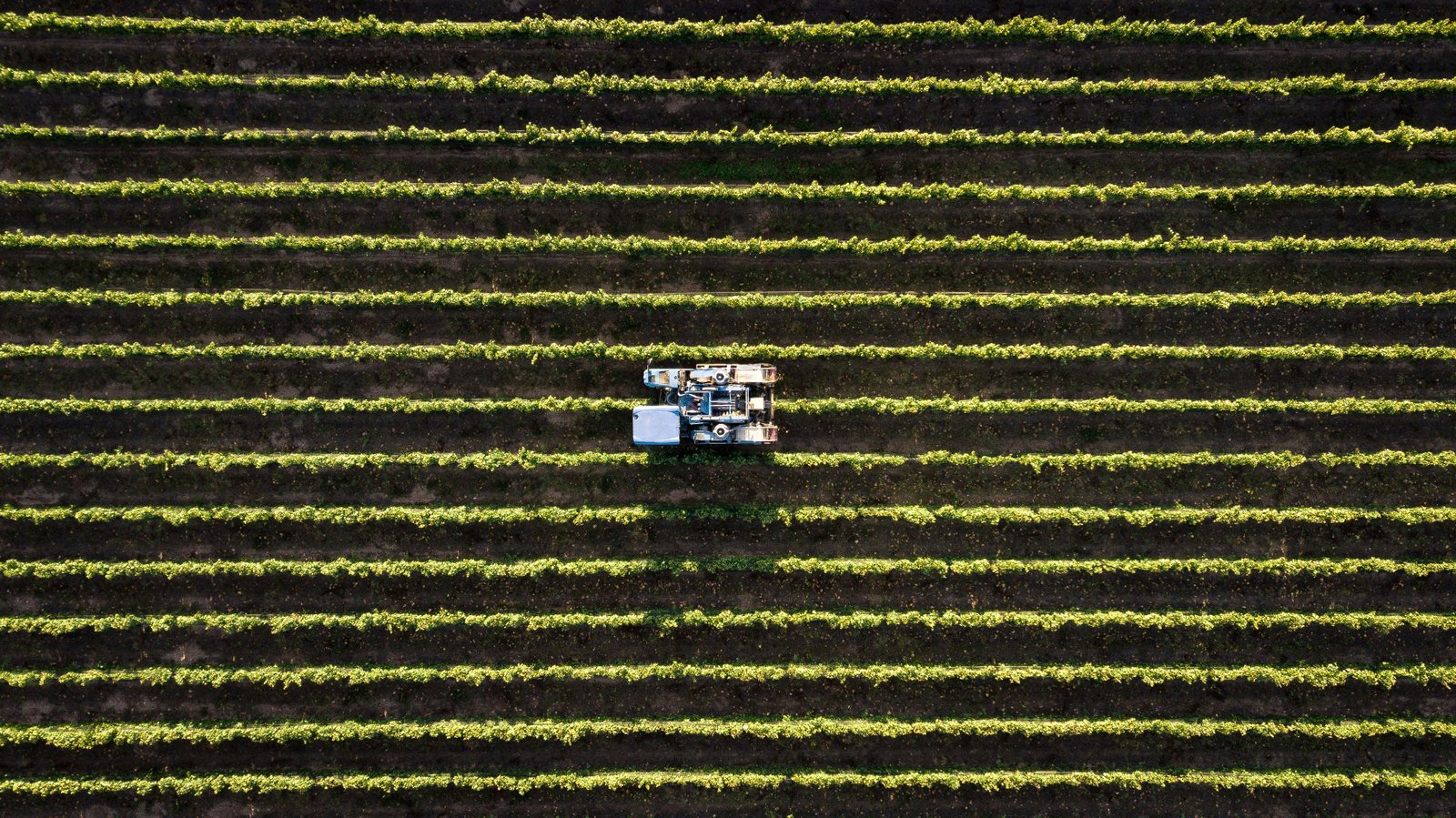 Team working sustainably